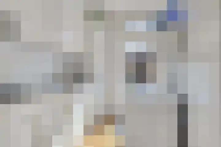 Prof. Lorentzlaan 257 Sliedrecht thumbnail 11