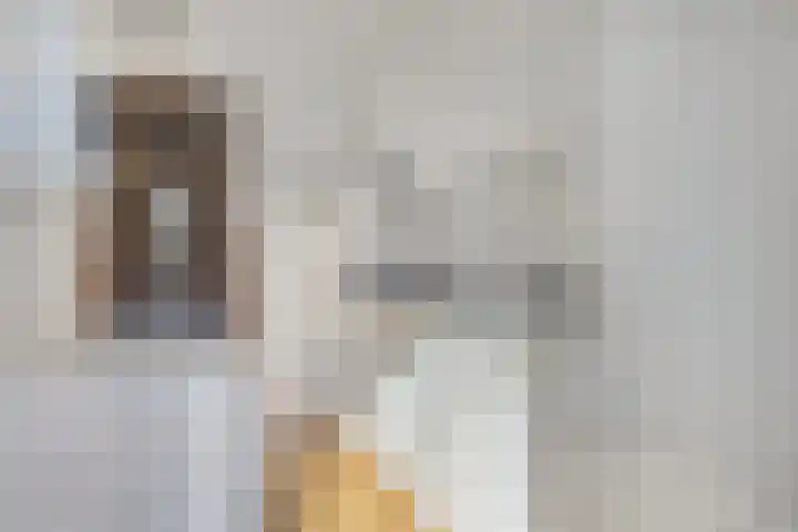 Prof. Lorentzlaan 257 Sliedrecht thumbnail 12