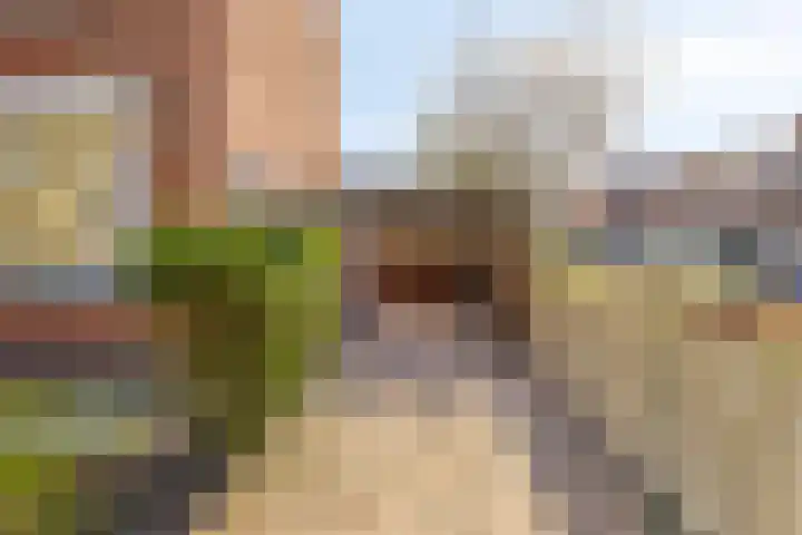 Prof. Lorentzlaan 257 Sliedrecht thumbnail 4