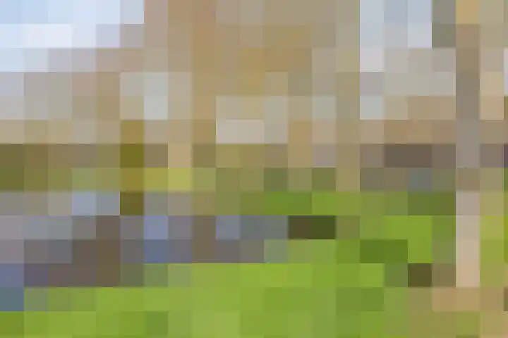Prof. Lorentzlaan 257 Sliedrecht thumbnail 42