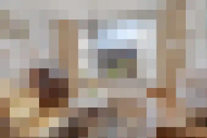 Prof. Lorentzlaan 257 Sliedrecht thumbnail 6