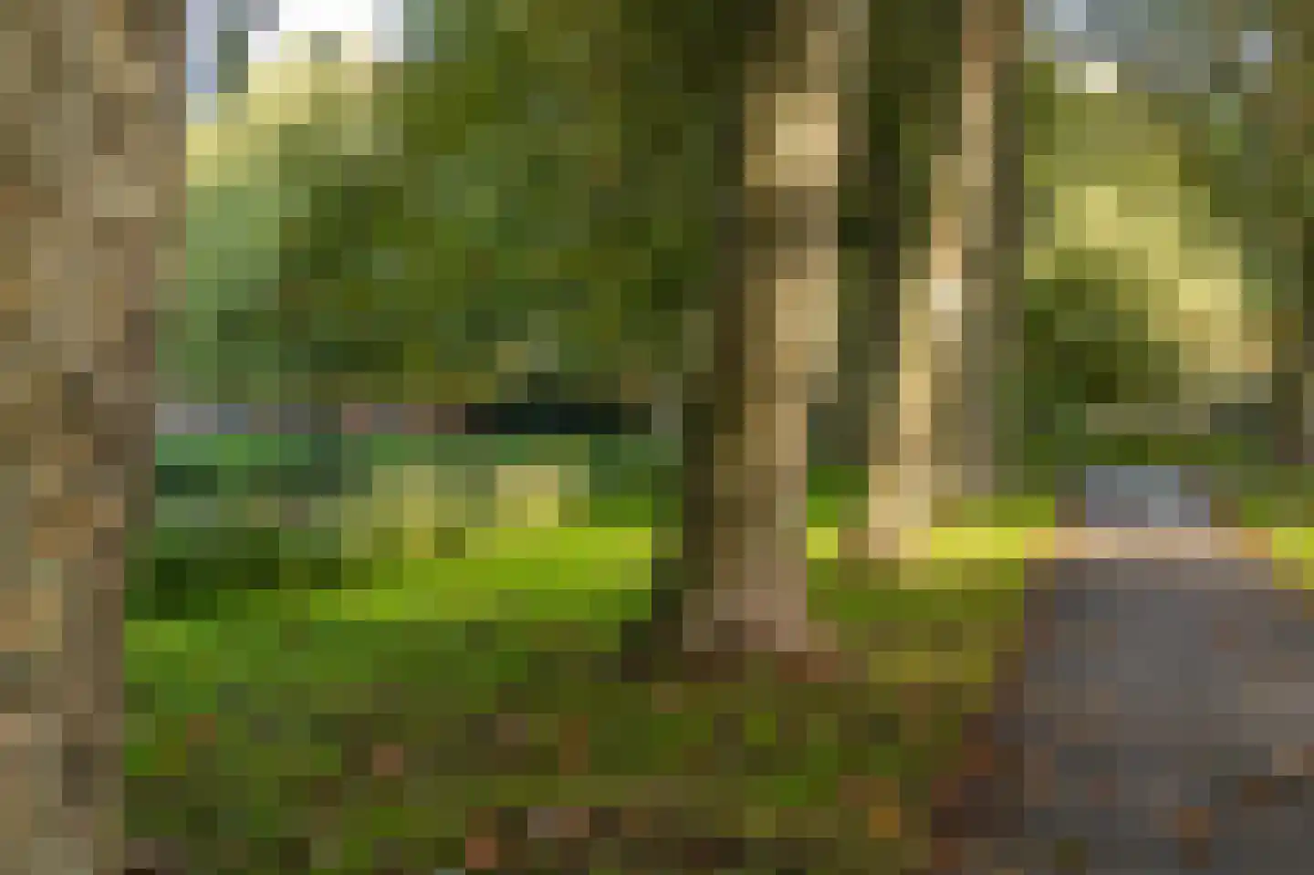 Prof. Lorentzlaan 261 Sliedrecht thumbnail 22