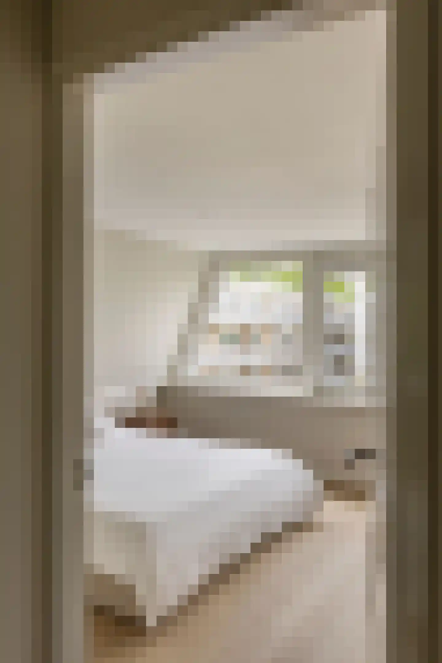 Prof. Lorentzlaan 32 Amstelveen thumbnail 40