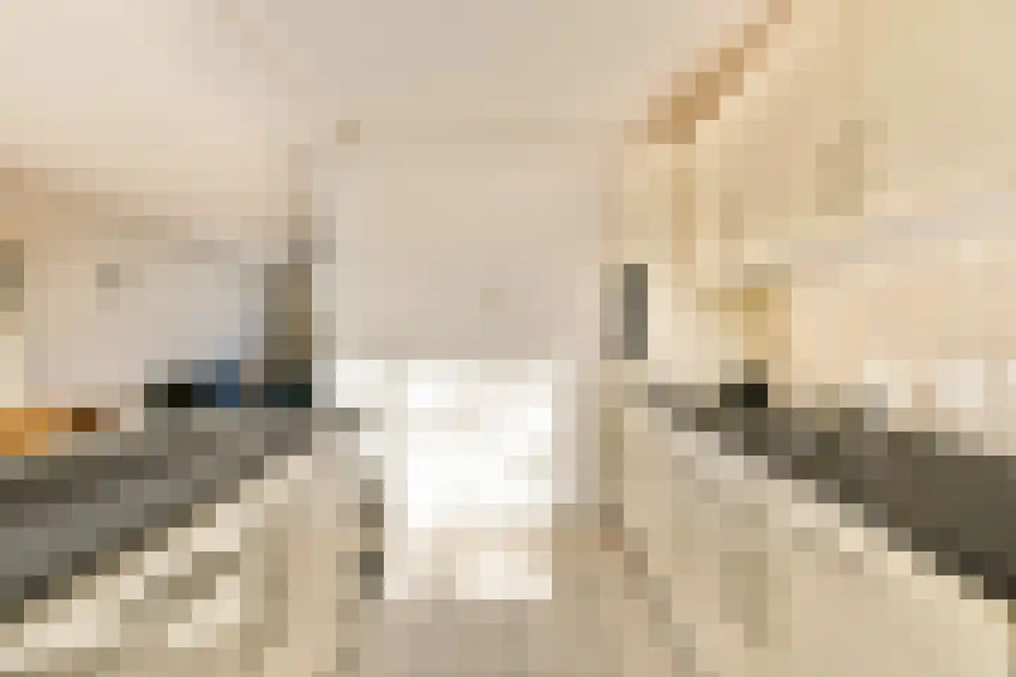 Prof. Lorentzlaan 36 Amstelveen thumbnail 8