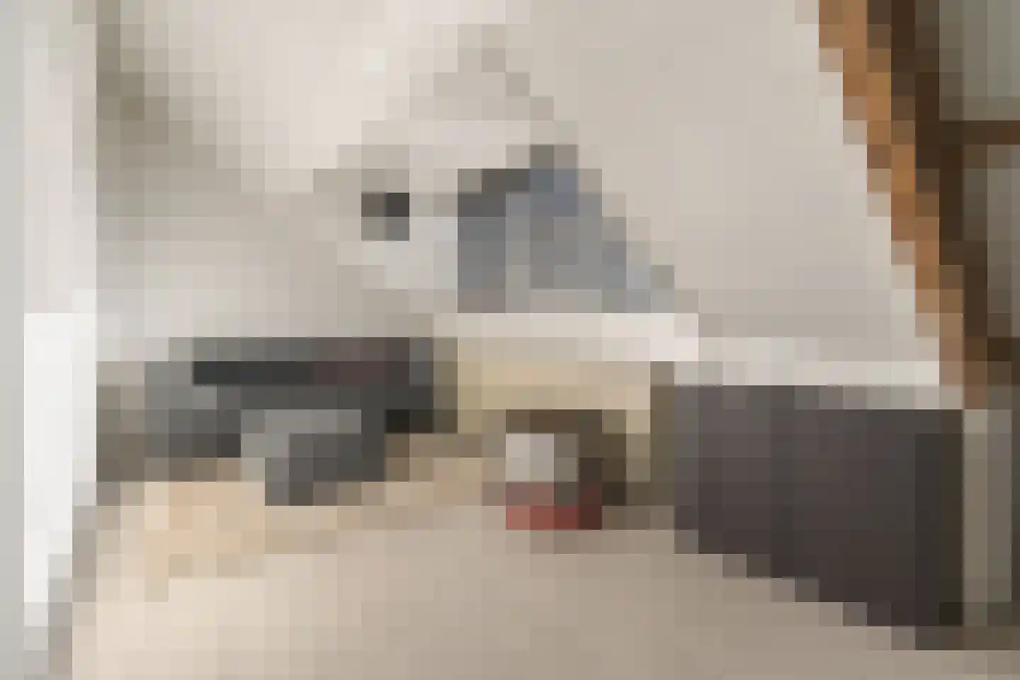 Prof. Lorentzlaan 47 BIS Zeist thumbnail 25