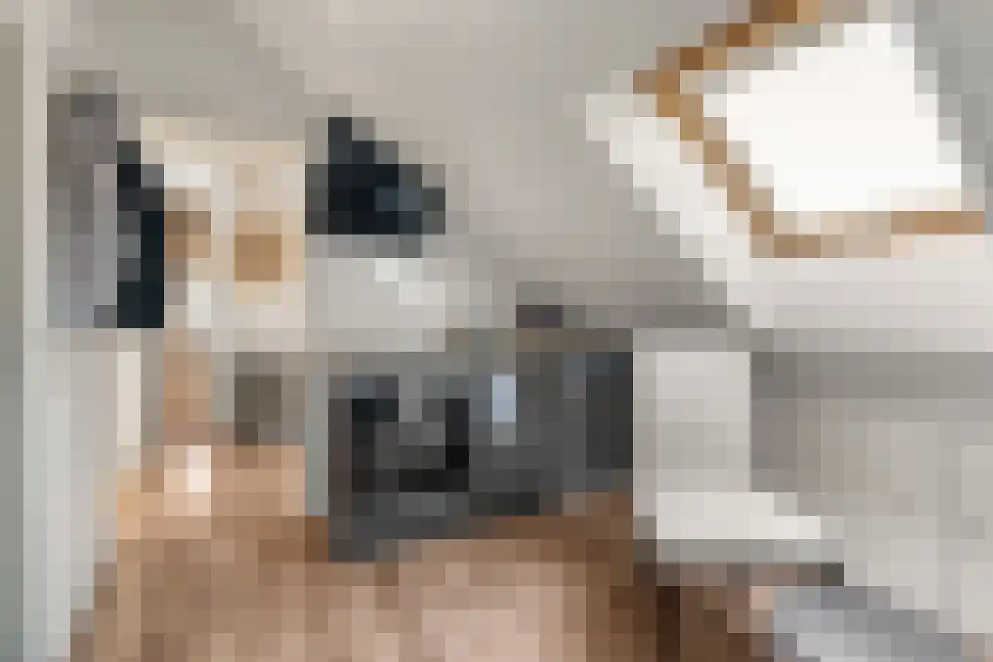 Prof. Lorentzlaan 47 BIS Zeist thumbnail 28