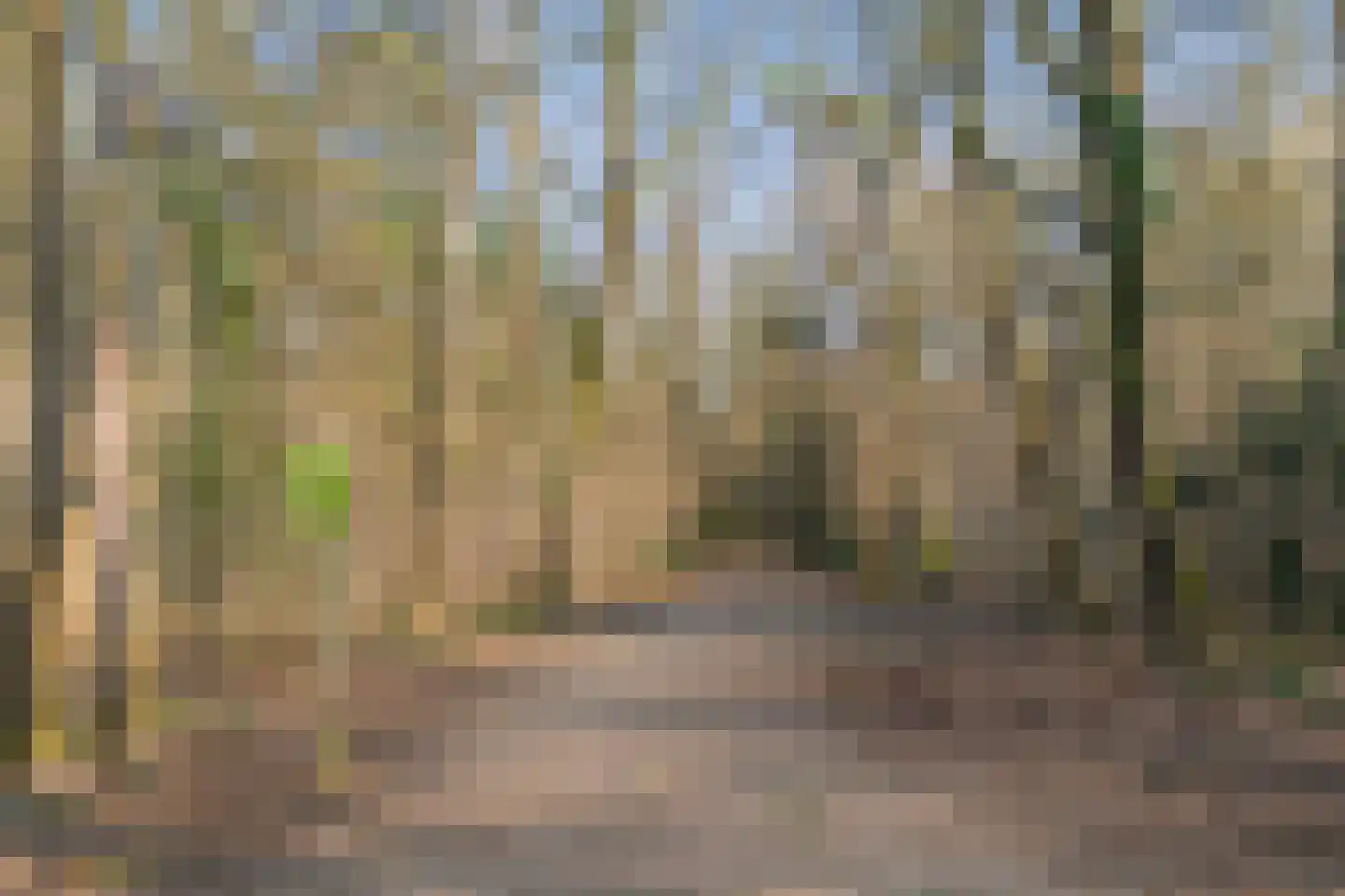 Prof. Lorentzlaan 47 BIS Zeist thumbnail 34