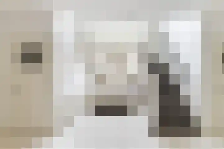 Prof. Lorentzlaan 83 Zeist thumbnail 15