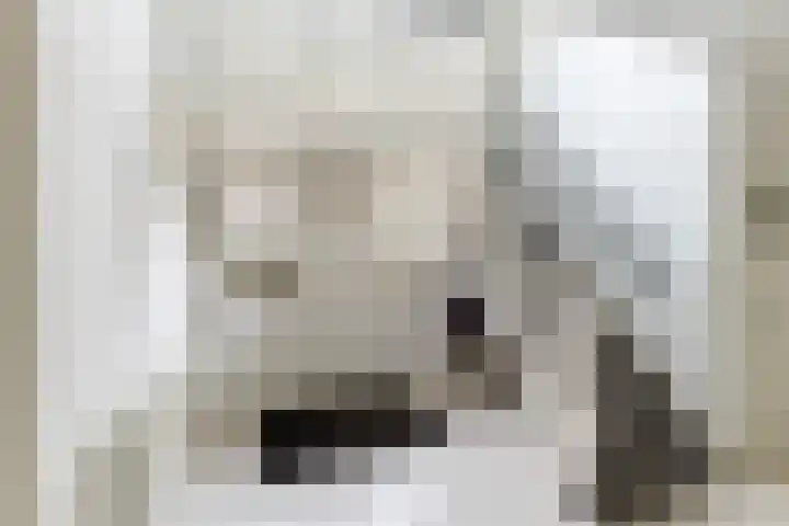 Prof. Lorentzlaan 83 Zeist thumbnail 16