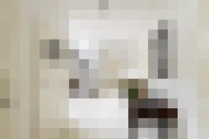 Prof. Lorentzlaan 83 Zeist thumbnail 17