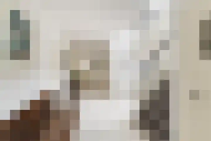 Prof. Lorentzlaan 83 Zeist thumbnail 18
