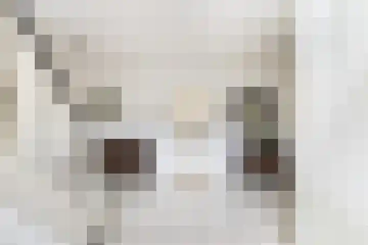 Prof. Lorentzlaan 83 Zeist thumbnail 19