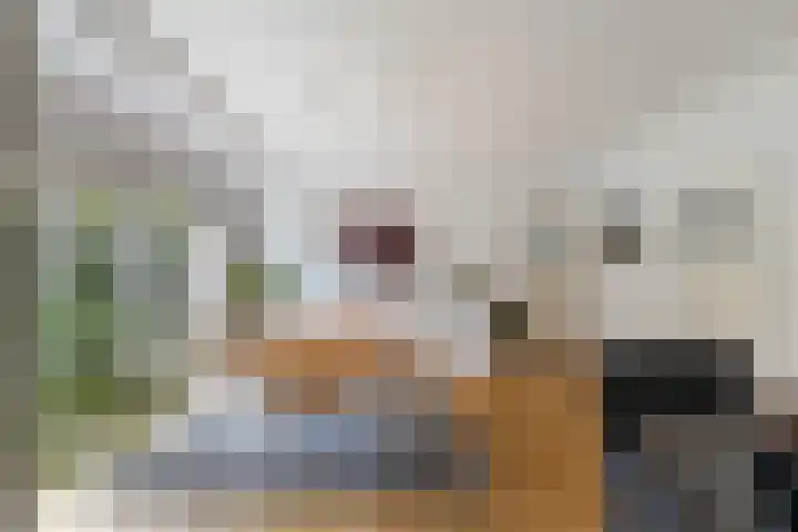 Prof. Lorentzlaan 83 Zeist thumbnail 36