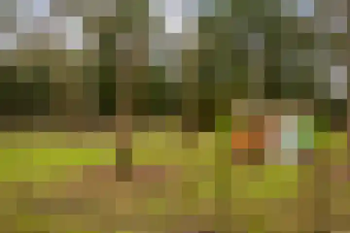 Prof. Lorentzlaan 83 Zeist thumbnail 4