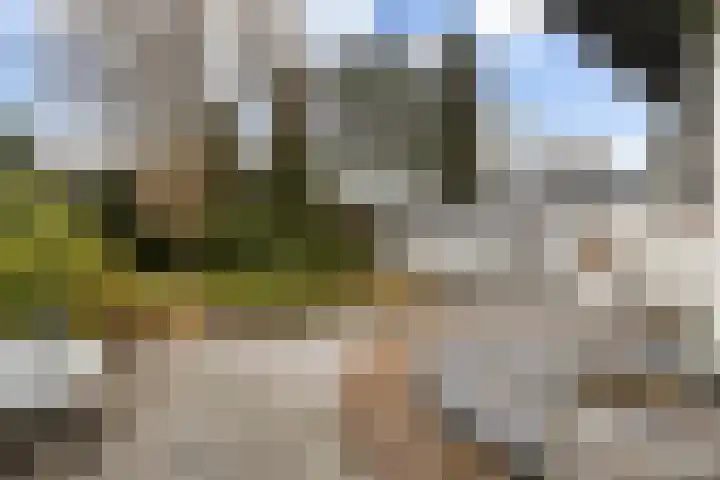 Prof. Lorentzlaan 83 Zeist thumbnail 46