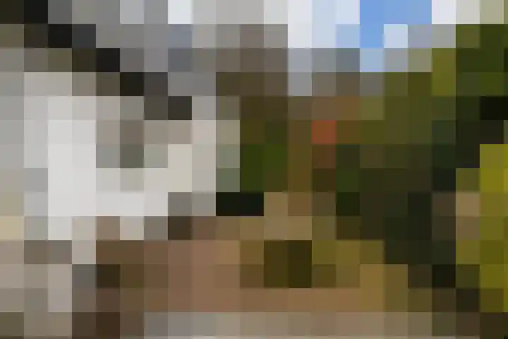 Prof. Lorentzlaan 83 Zeist thumbnail 47