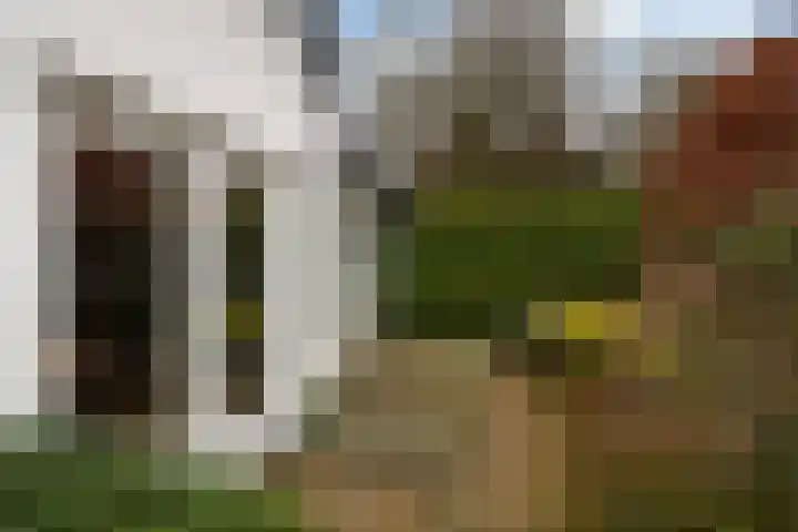 Prof. Lorentzlaan 83 Zeist thumbnail 49