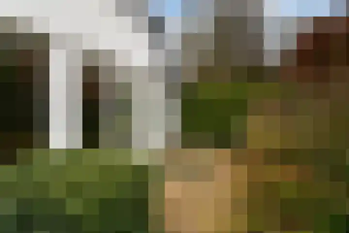 Prof. Lorentzlaan 83 Zeist thumbnail 50