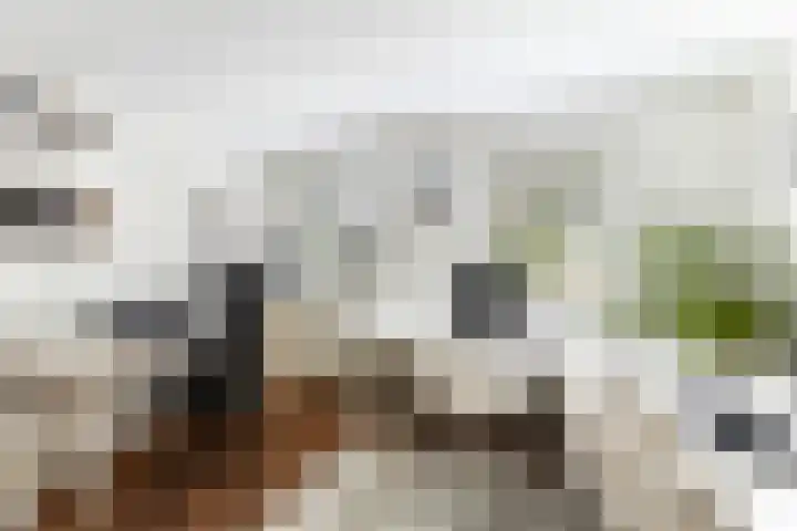 Prof. Lorentzlaan 83 Zeist thumbnail 52