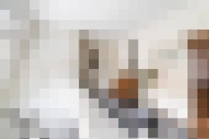 Prof. Lorentzlaan 83 Zeist thumbnail 58
