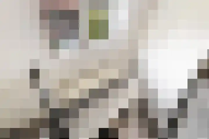 Prof. Lorentzlaan 83 Zeist thumbnail 59