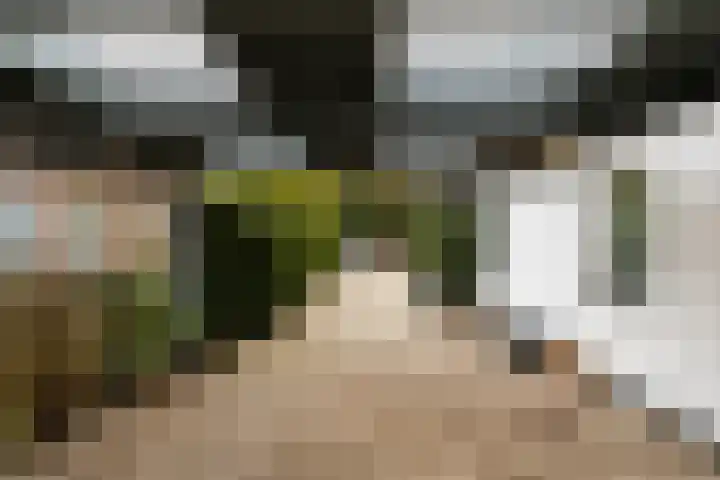 Prof. Lorentzlaan 83 Zeist thumbnail 72