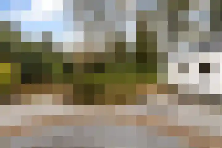 Prof. Lorentzlaan 83 Zeist thumbnail 73