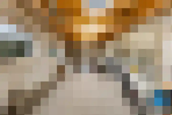 Prof. Lorentzlaan 83 Zeist thumbnail 74