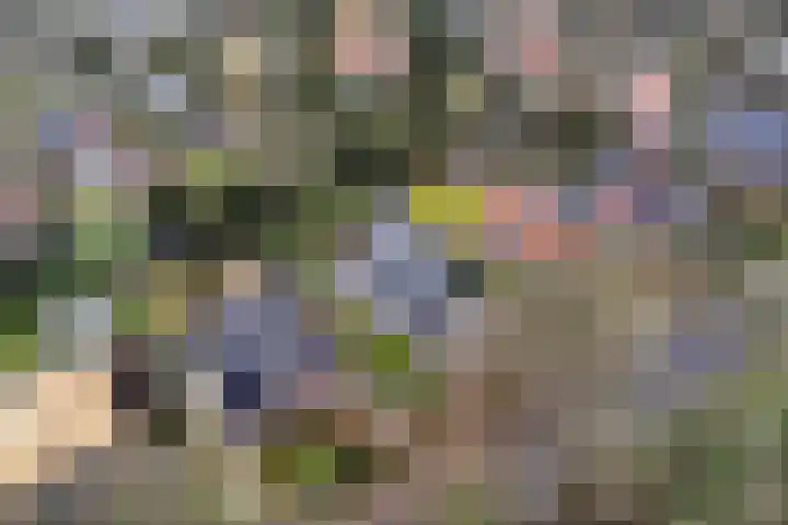 Prof. Lorentzlaan 83 Zeist thumbnail 80