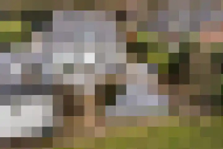 Prof. Lorentzlaan 83 Zeist thumbnail 84