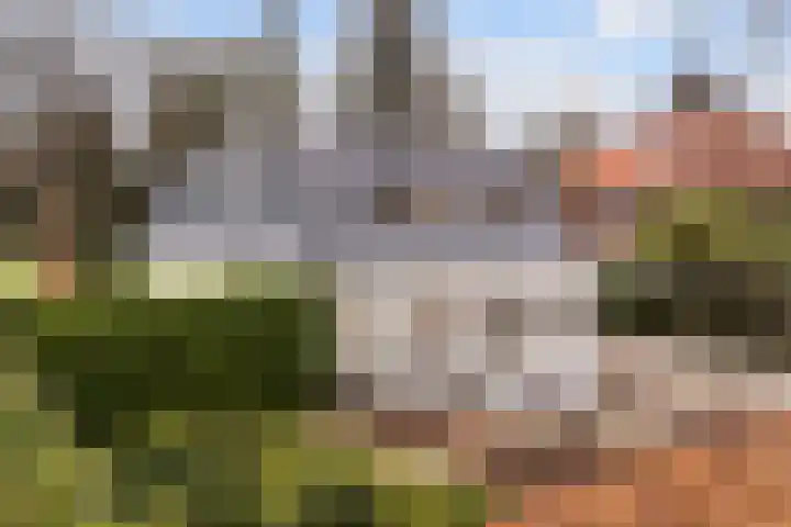Prof. Lorentzlaan 83 Zeist thumbnail 9