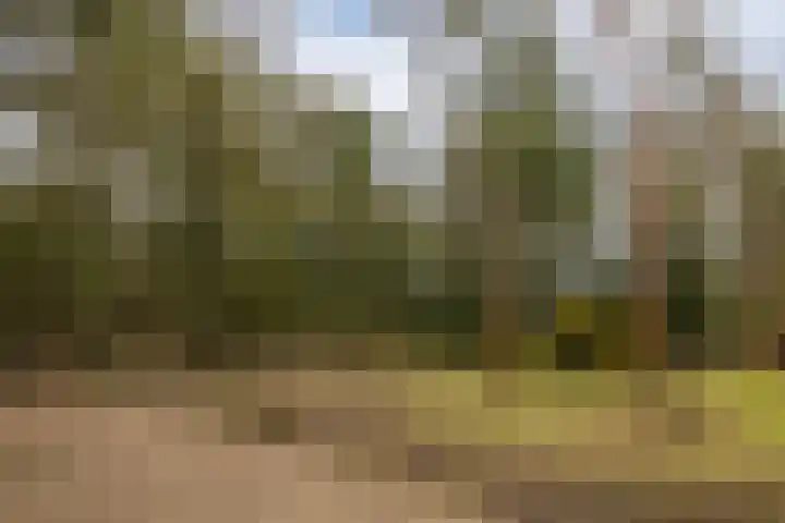 Prof. Lorentzlaan 83 Zeist thumbnail 90