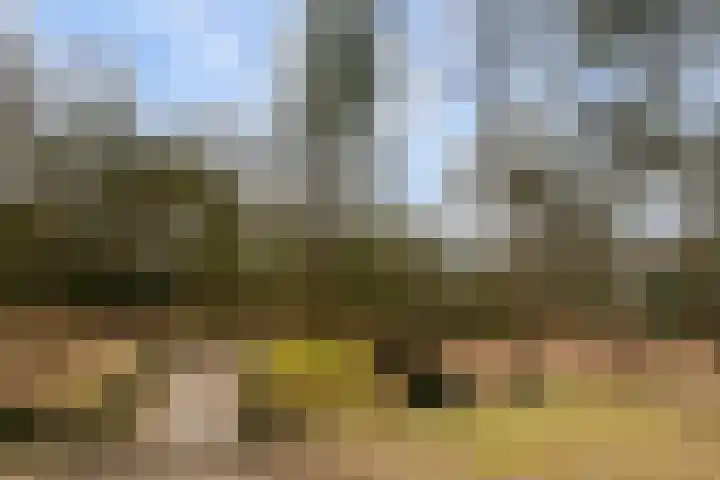 Prof. Lorentzlaan 83 Zeist thumbnail 93