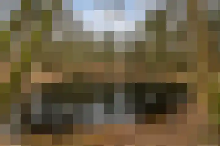 Prof. Lorentzlaan 83 Zeist thumbnail 94