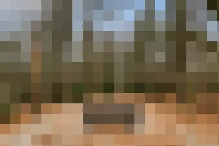 Prof. Lorentzlaan 83 Zeist thumbnail 95