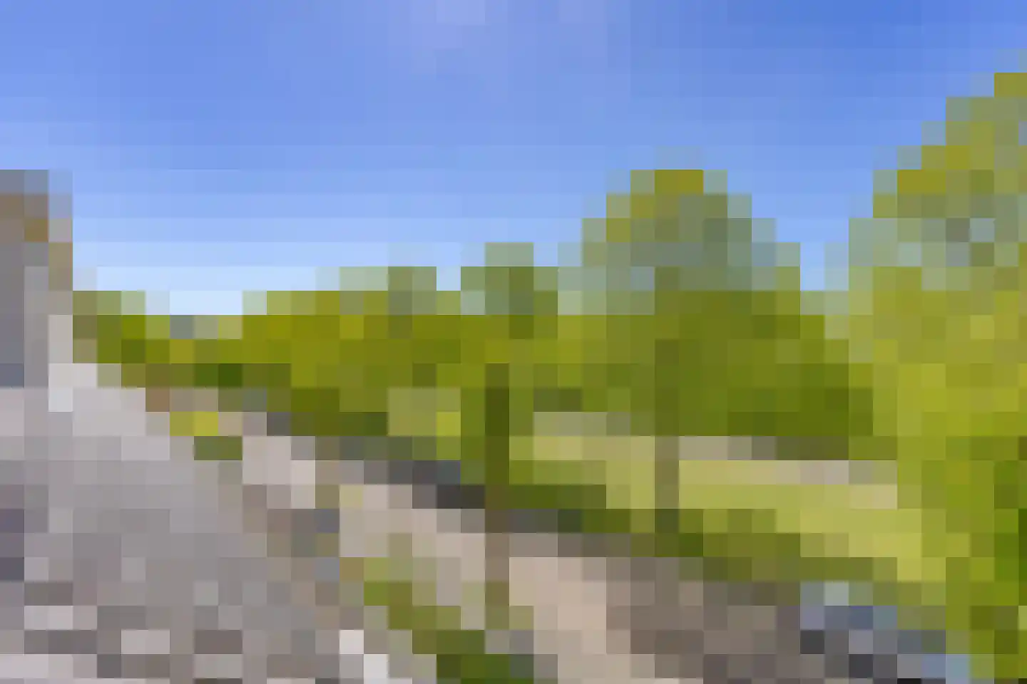 Prof. Meijerslaan 119 Rijswijk thumbnail 31