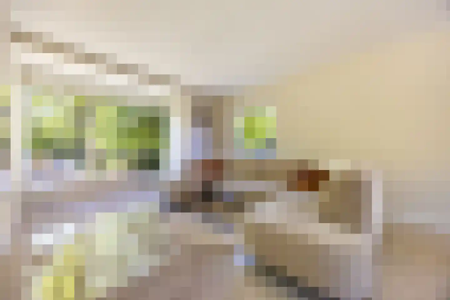 Prof. Meijerslaan 119 Rijswijk thumbnail 4