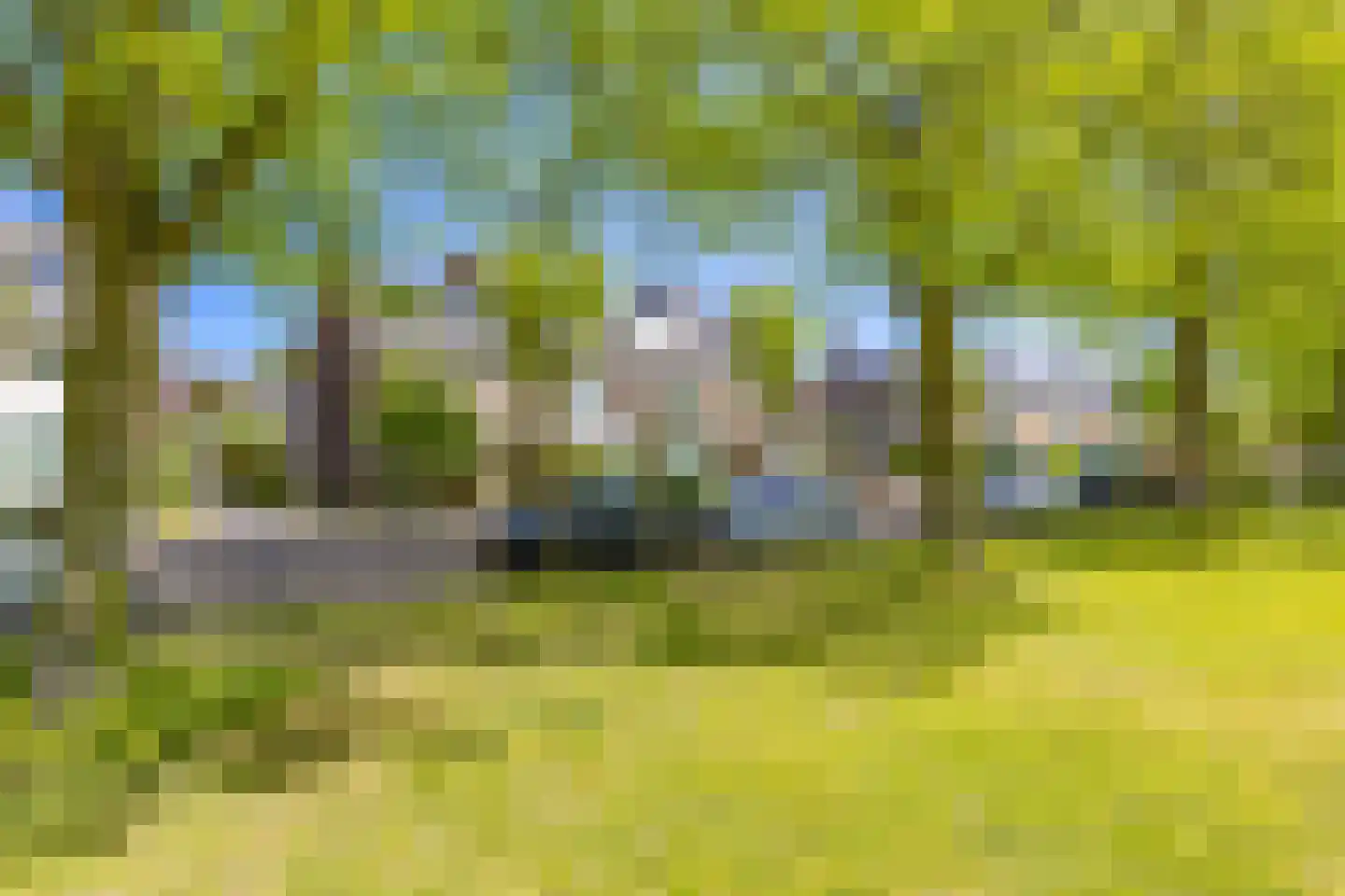 Prof. Meijerslaan 119 Rijswijk thumbnail 41