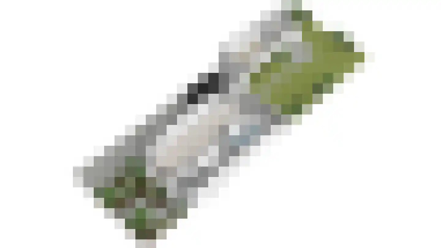 Prof. Meijerslaan 119 Rijswijk thumbnail 52