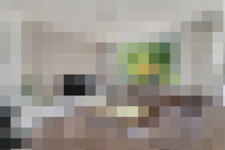 Prof. Meijerslaan 132 Rijswijk thumbnail 11