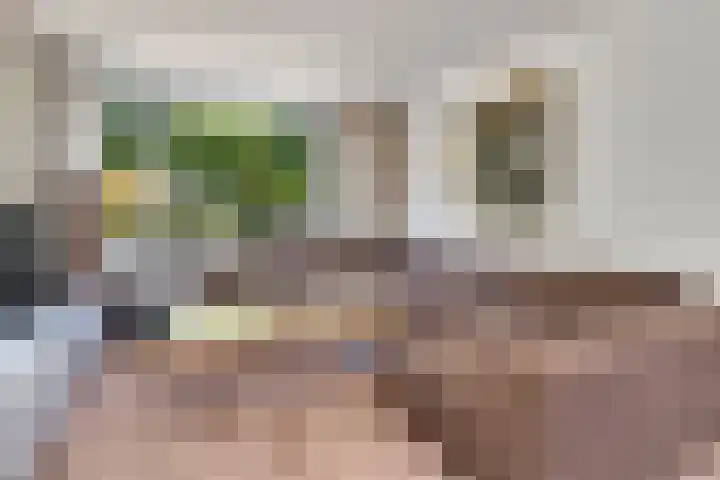 Prof. Meijerslaan 132 Rijswijk thumbnail 12