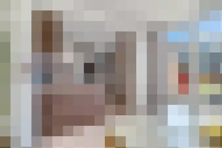 Prof. Meijerslaan 132 Rijswijk thumbnail 17