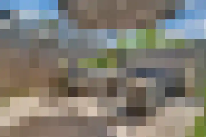 Prof. Meijerslaan 132 Rijswijk thumbnail 22