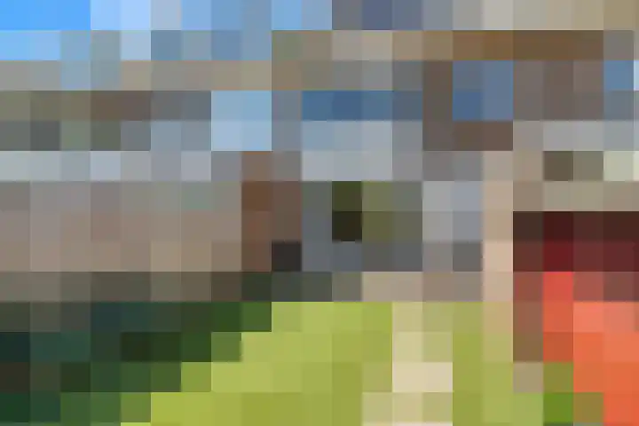 Prof. Meijerslaan 132 Rijswijk thumbnail 27