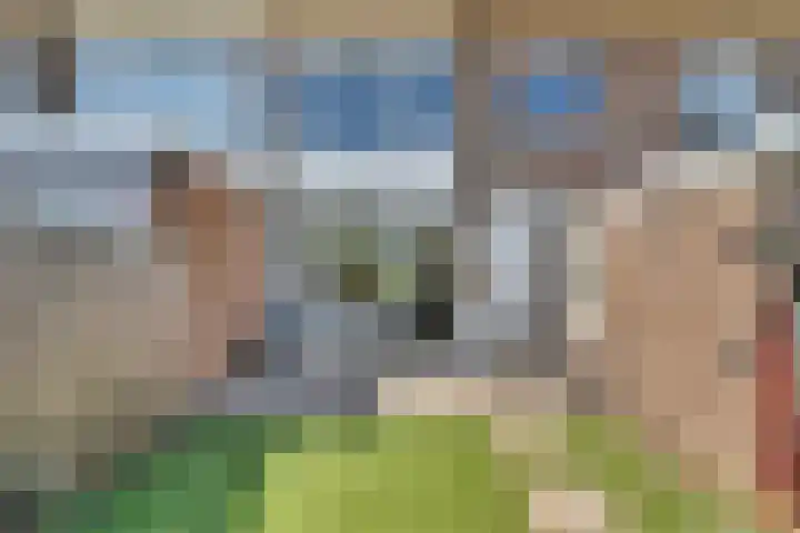 Prof. Meijerslaan 132 Rijswijk thumbnail 29