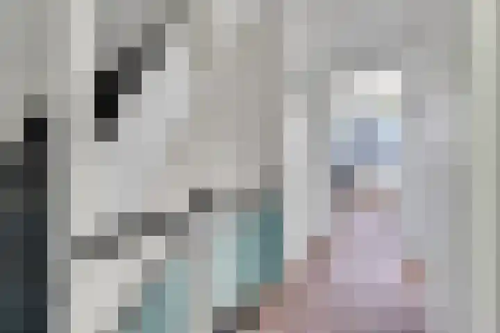 Prof. Meijerslaan 132 Rijswijk thumbnail 31