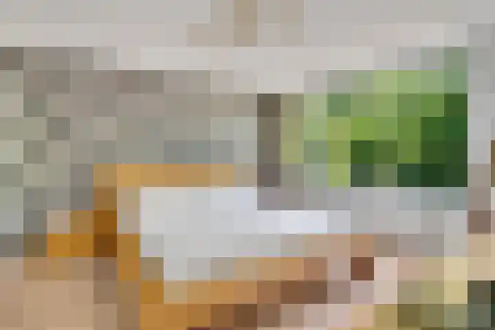 Prof. Meijerslaan 132 Rijswijk thumbnail 33
