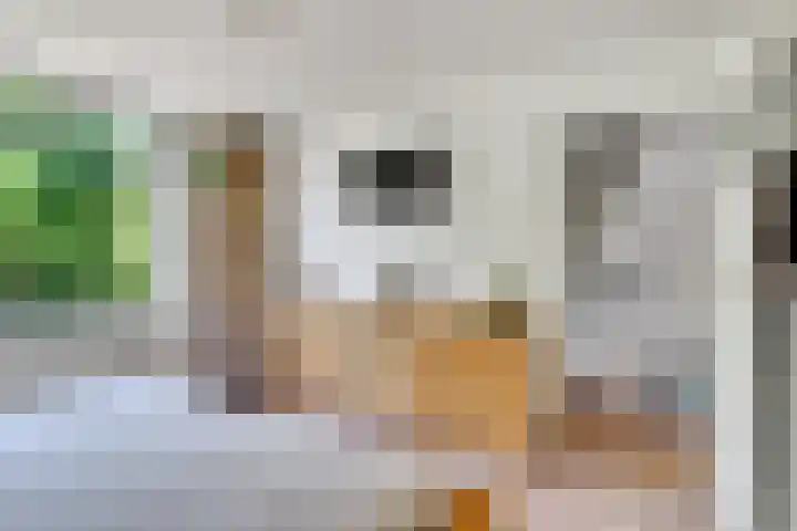 Prof. Meijerslaan 132 Rijswijk thumbnail 34