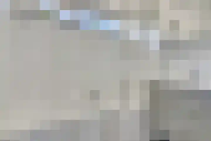 Prof. Meijerslaan 132 Rijswijk thumbnail 35