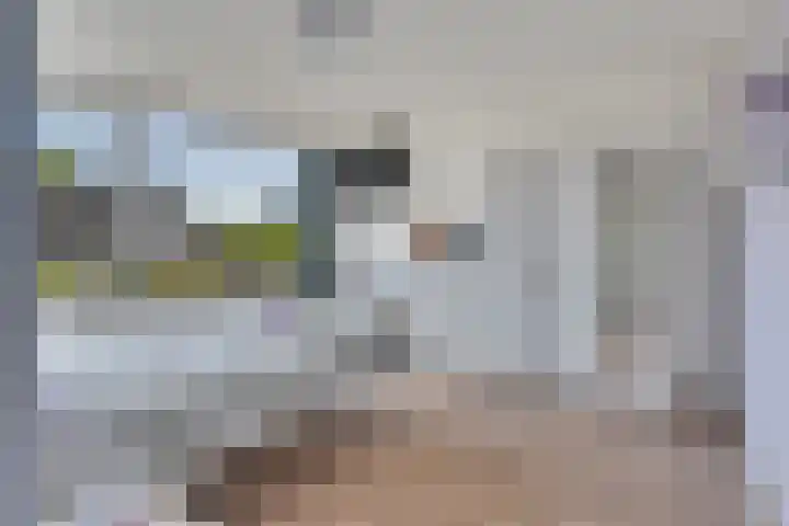 Prof. Meijerslaan 132 Rijswijk thumbnail 36